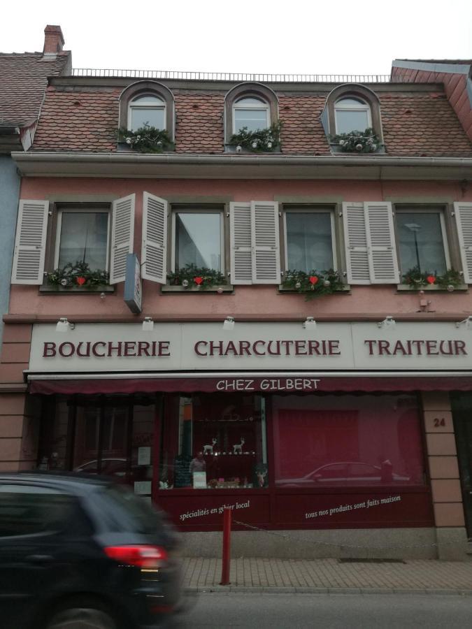 Spacieux Appartement Dans Le Centre De Munster Munster  Luaran gambar